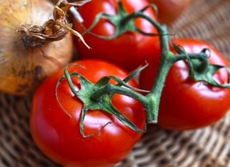 ekologiczne bio pomidory