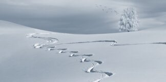 Czy spodnie narciarskie nadają się na snowboard?