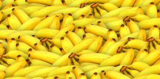 Czy można jeść banana z mlekiem?