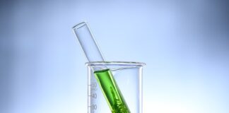 Czy Chlorella i Spirulina to to samo?